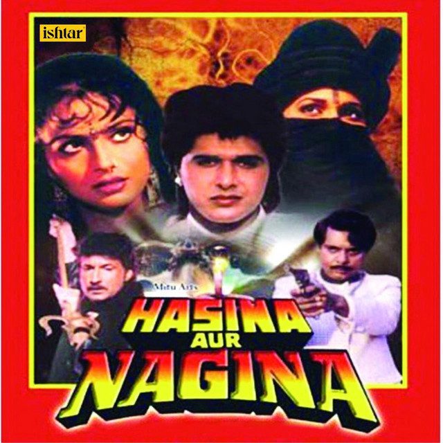 Hasina Aur Nagina 1996